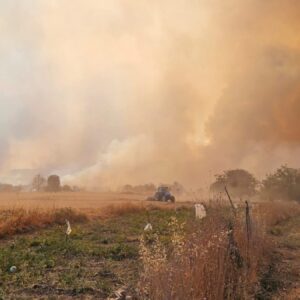 izmir ve canakkalede orman yanginlariyla mucadele suruyor rPHFzKYM