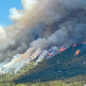 somada orman yangini bc1Urh72