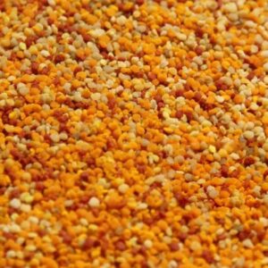 yuksek sicaklar tarihi one cekti 1200 ton rekolte bekleniyor shiyNYbB