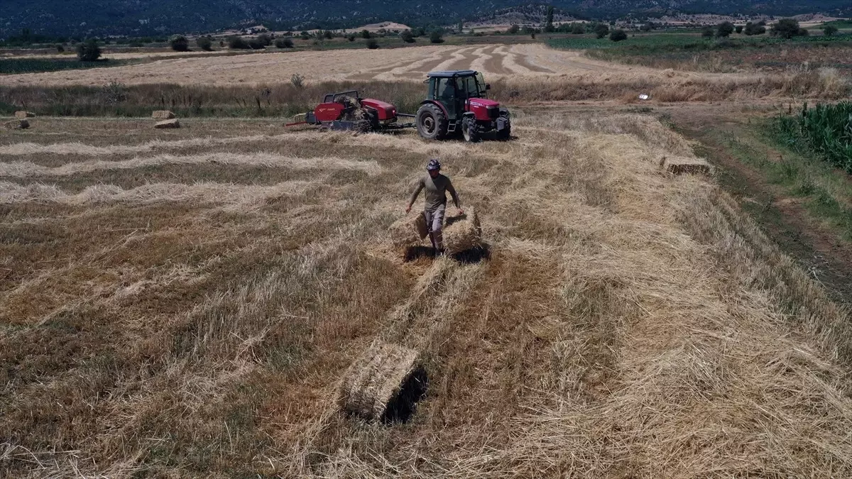 ciftciligi secen universite mezunu cift xKn9KSUO