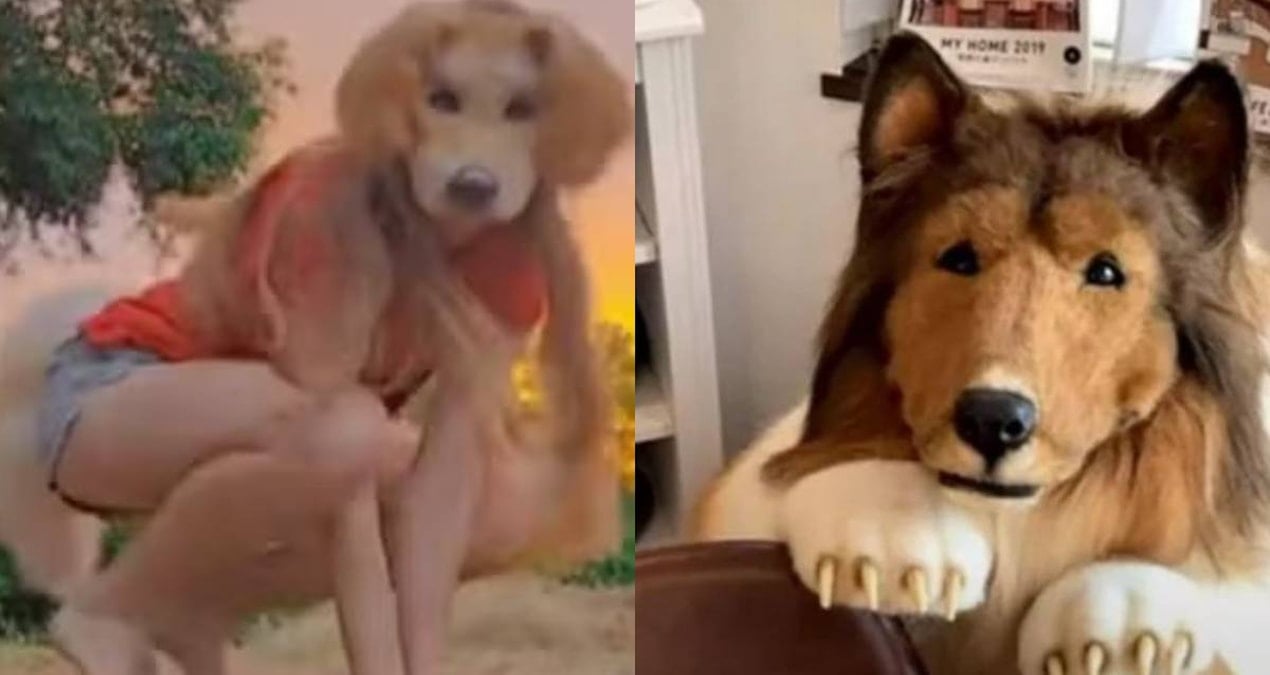 kopek olmak icin servet harcayan japon adama yeni rakip cikti Ueijl4pv