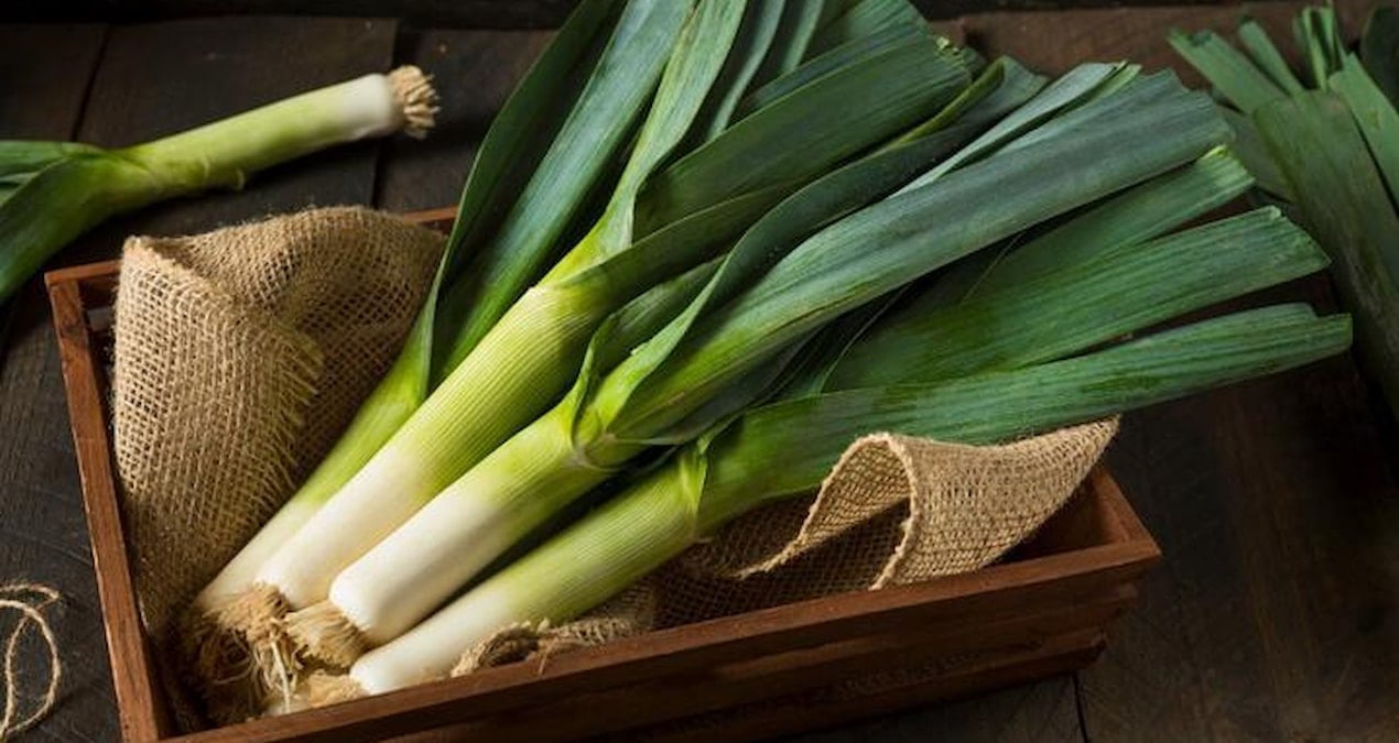 pirasa yerken bir kez daha dusunun i9kjvzjd