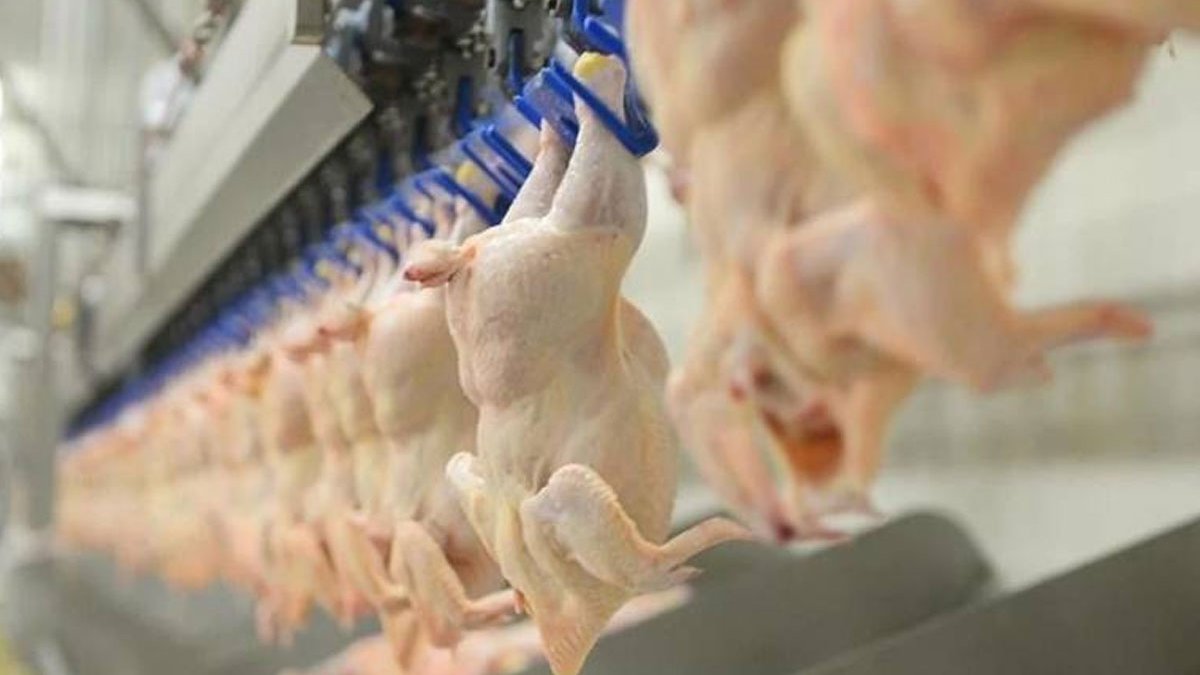 tum tavuk urunleri ithalati yasaklandi MJe7qWlX