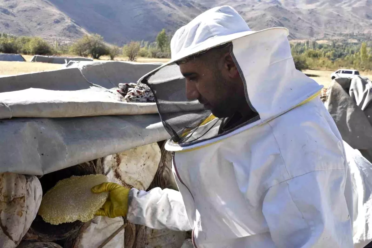 karakovan bali hasadi basladi AU4jmfRg.jpg