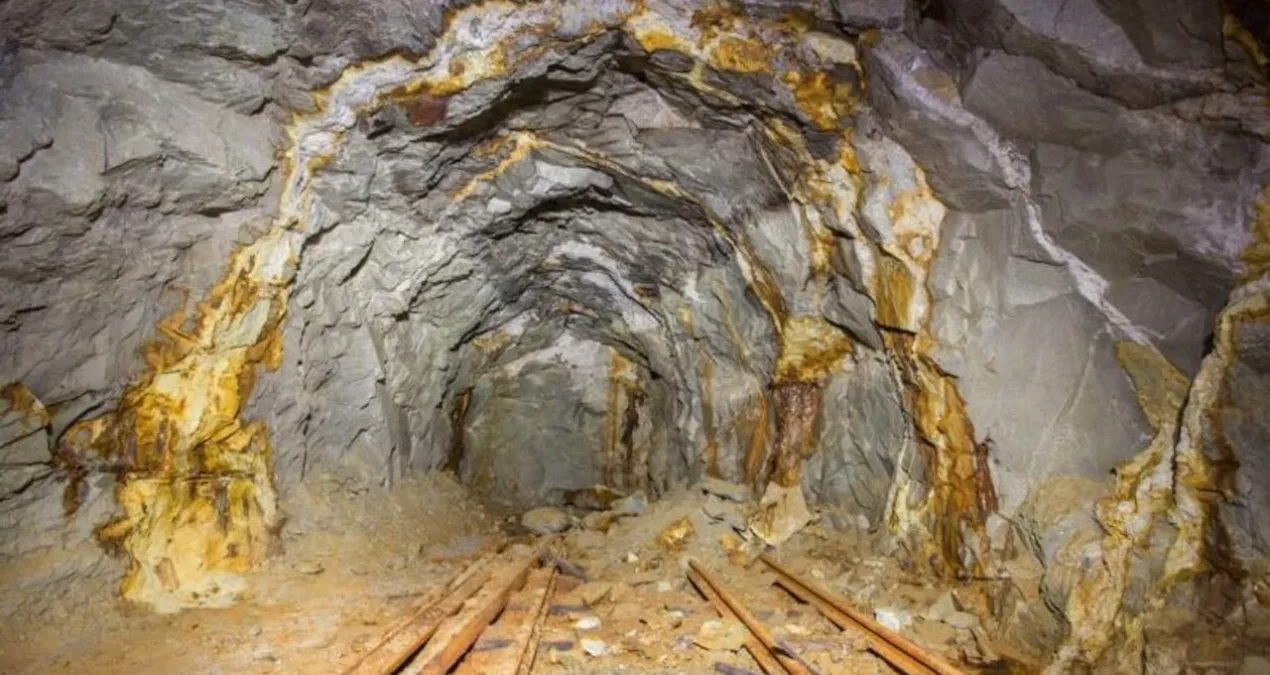 o ilimizin basina talih kusu kondu bugun milyarlarca liralik altin rezervi kesfedildi l69et9fY.jpg