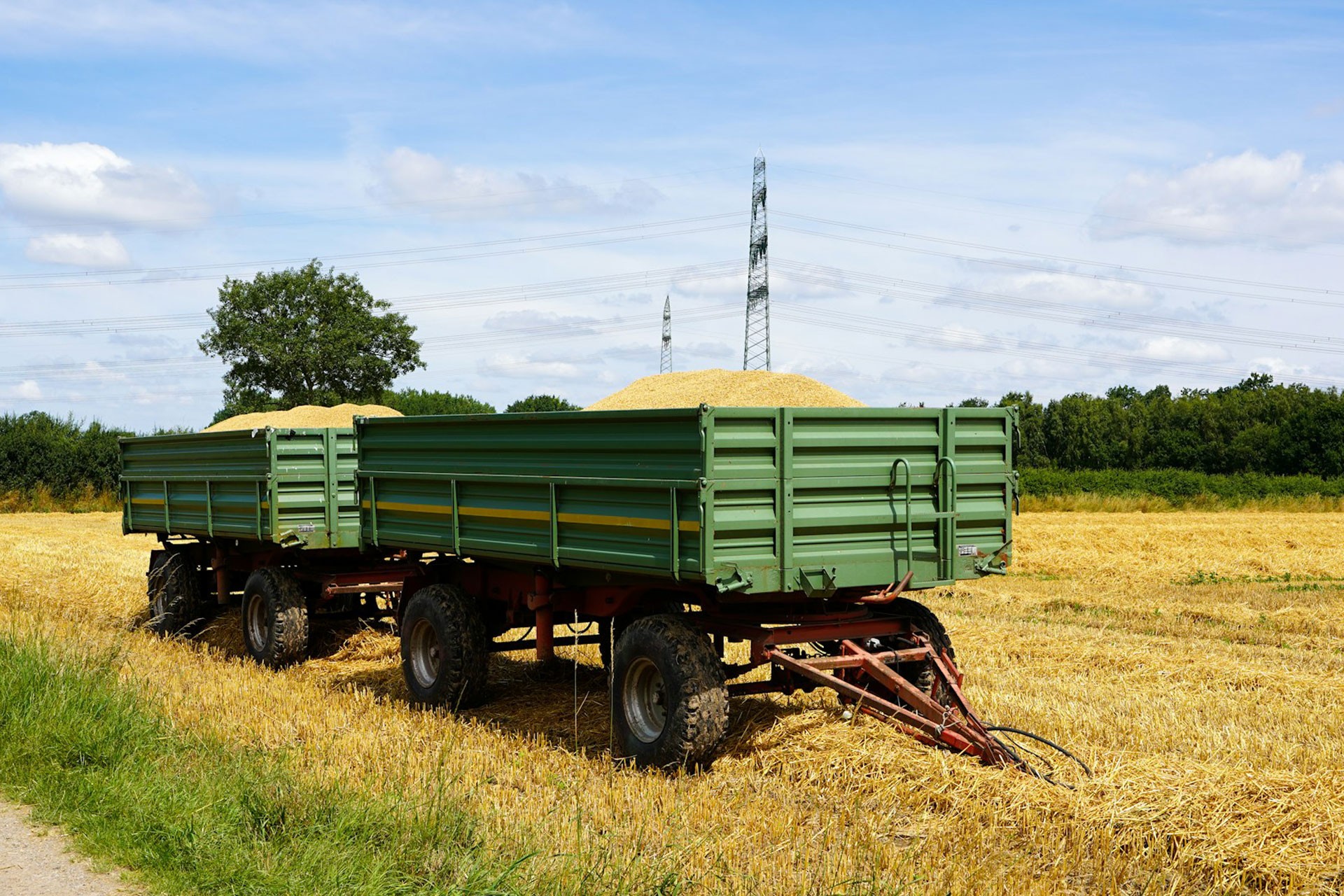 Tarım İçin Girdi Enflasyonu Hız Kesmeden Artıyor: Kasım Ayında Tarım-GFE Yıllık Yüzde 34,24 Artış Gösterdi