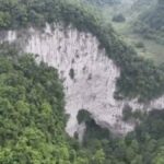 ulke-78-milyar-agac-dikti-felaketi-yasadi-ve2Ue9tl