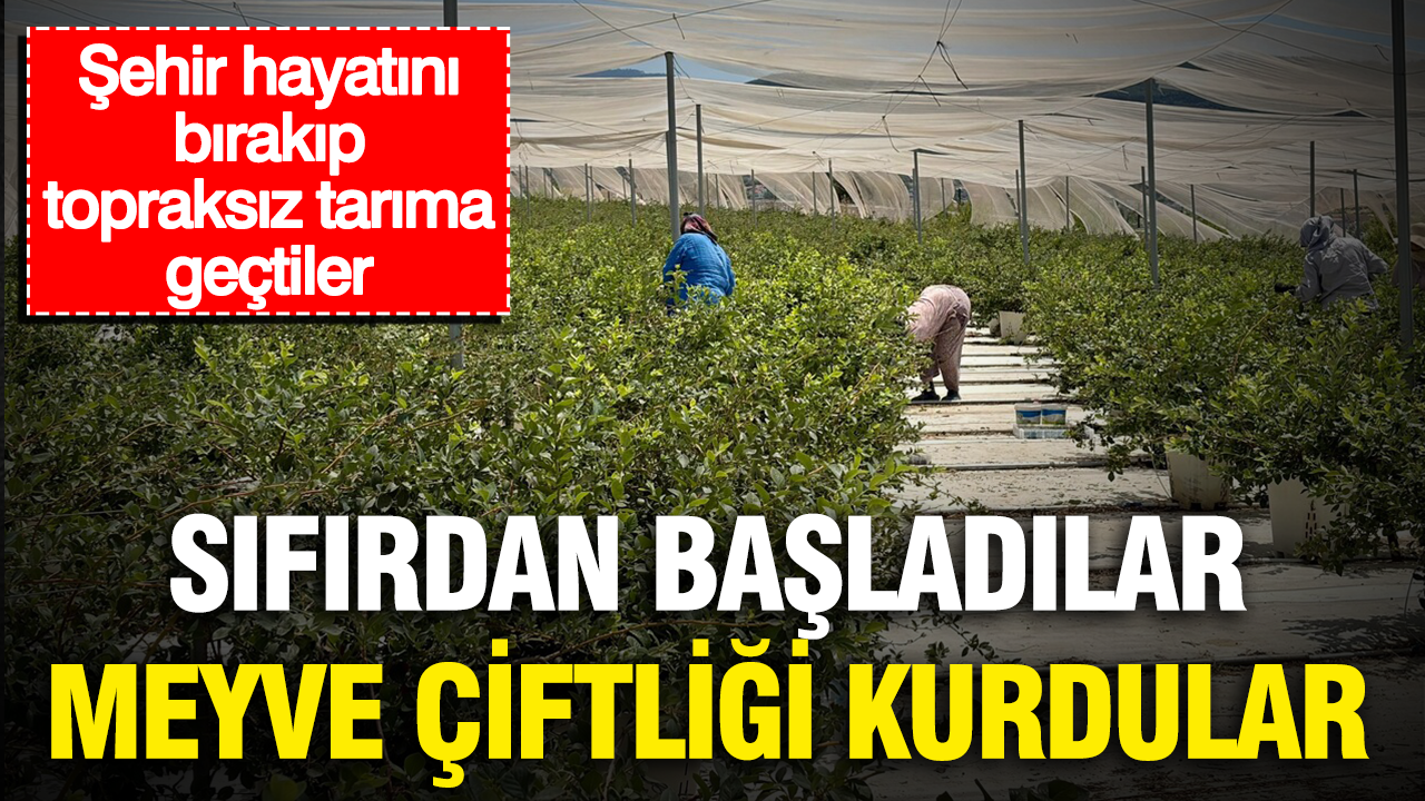 Sifirdan basladilar meyve ciftligi kurdular sehir hayatini birakip topraksiz tarima gectiler ebHPiPUT